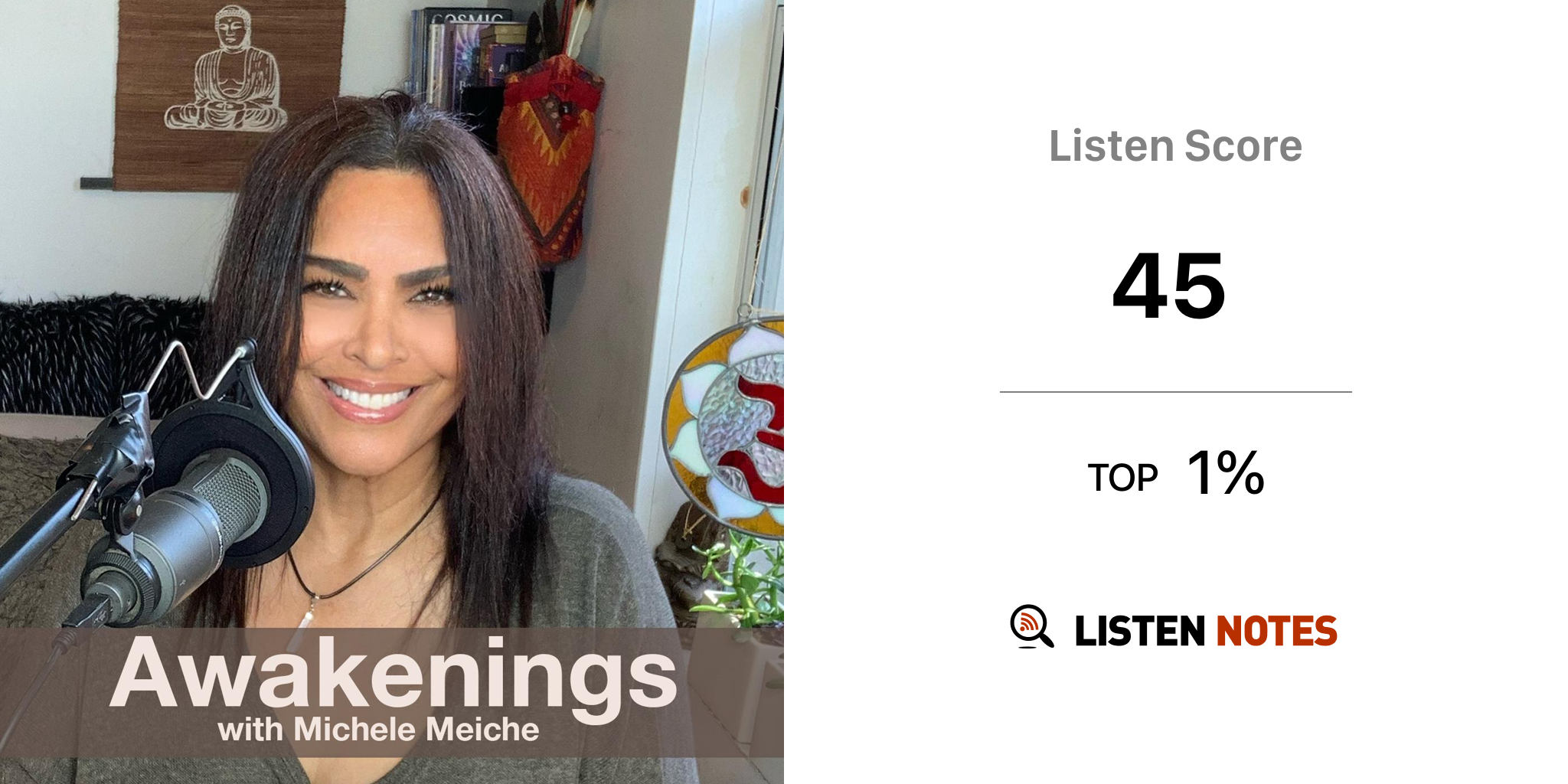 Awakenings with Michele Meiche podcast Michele Meiche Listen